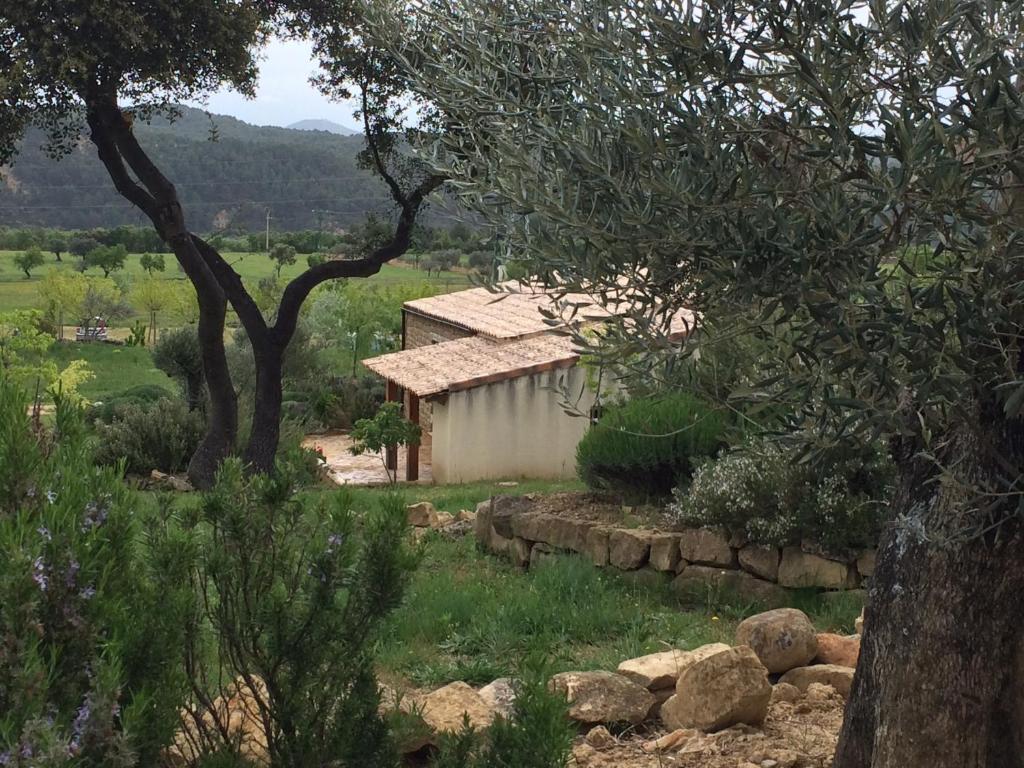 Alén D'Aragón Santa Eulalia de Gállego Quarto foto