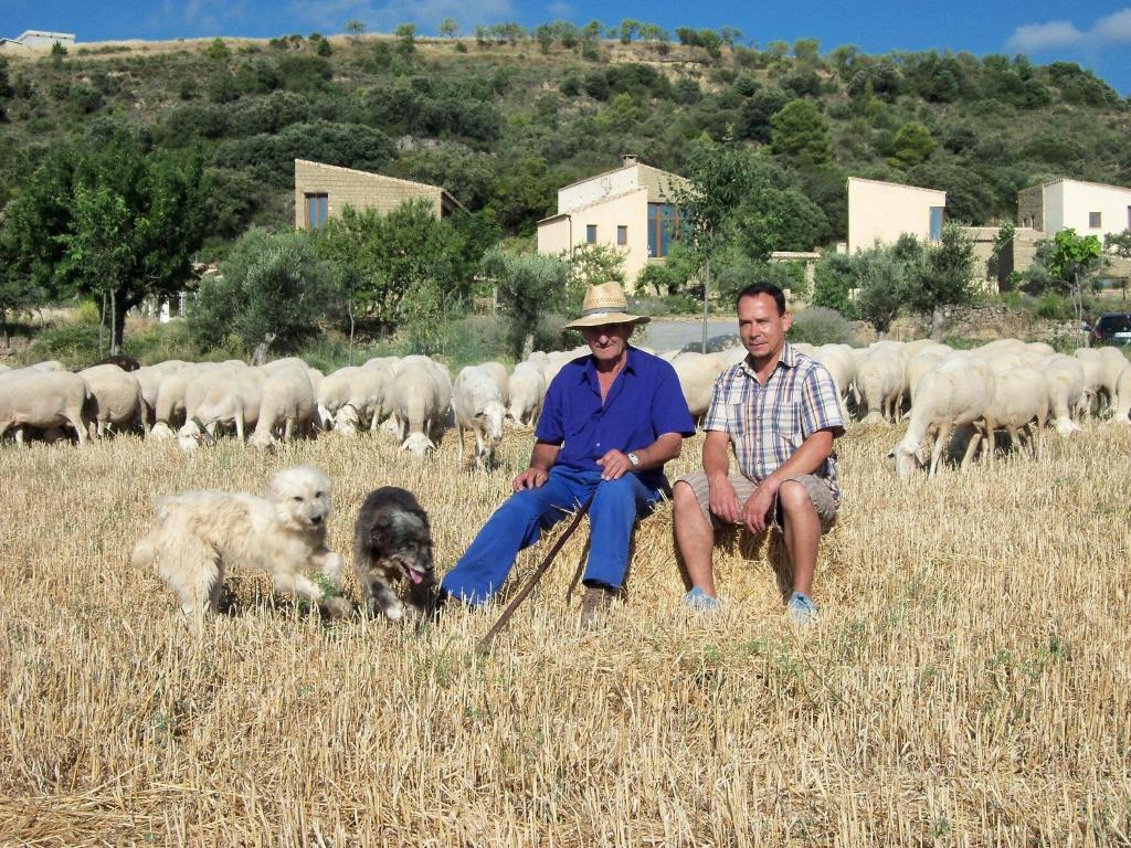 Alén D'Aragón Santa Eulalia de Gállego Exterior foto